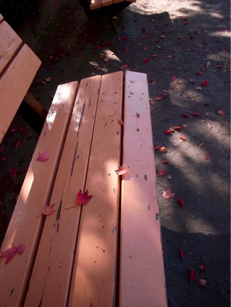 大人気！　CCDセンサー機　RICOH GR DIGITAL Ⅱ 実用機に！