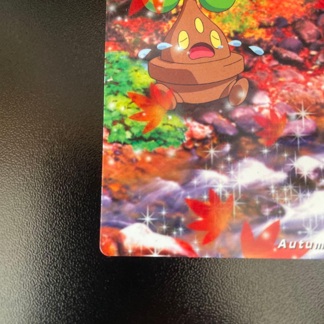 THE POKEMON WEEKLY Autumn1・2 秋　ウソハチ　ラッキー