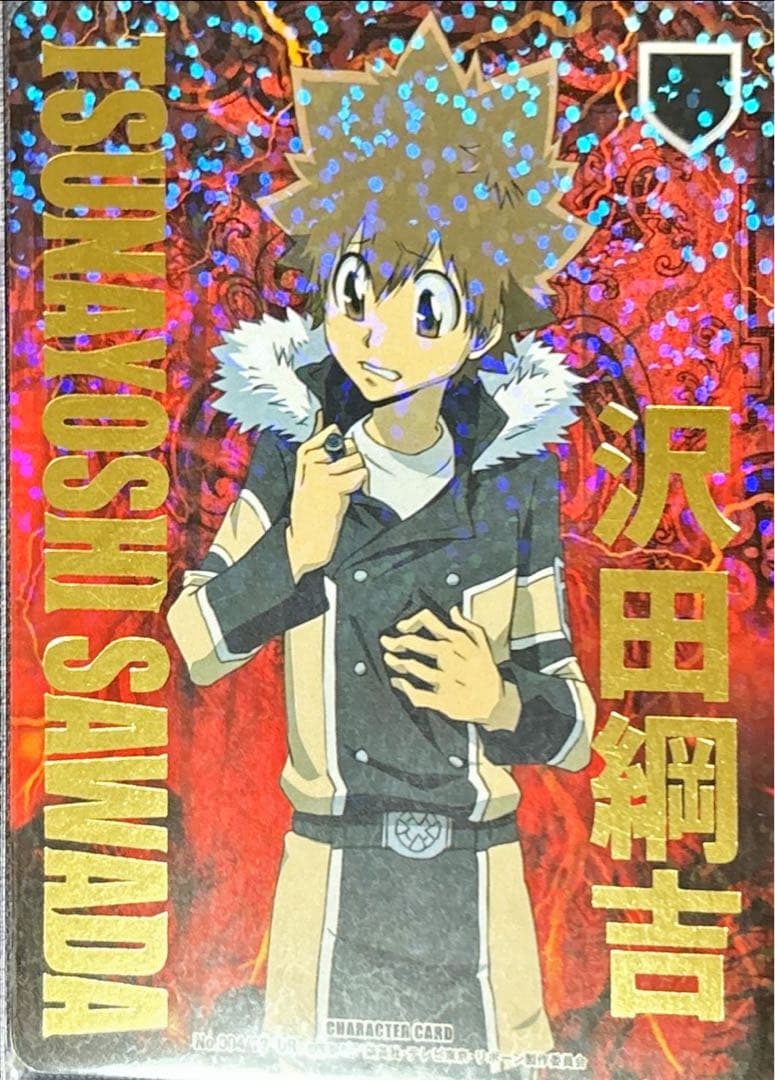 沢田綱吉 B12 ヴァリアー サインなし ツナ