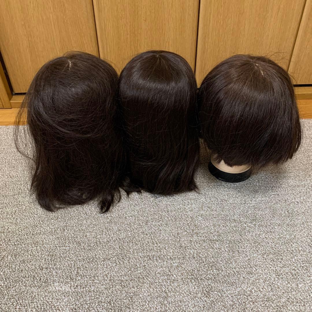 カットウィッグ　練習用　まとめ売り　12体