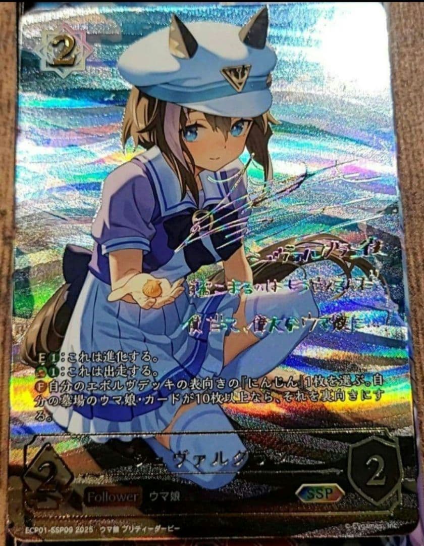 シュヴァルグラン EVOLVE ssp