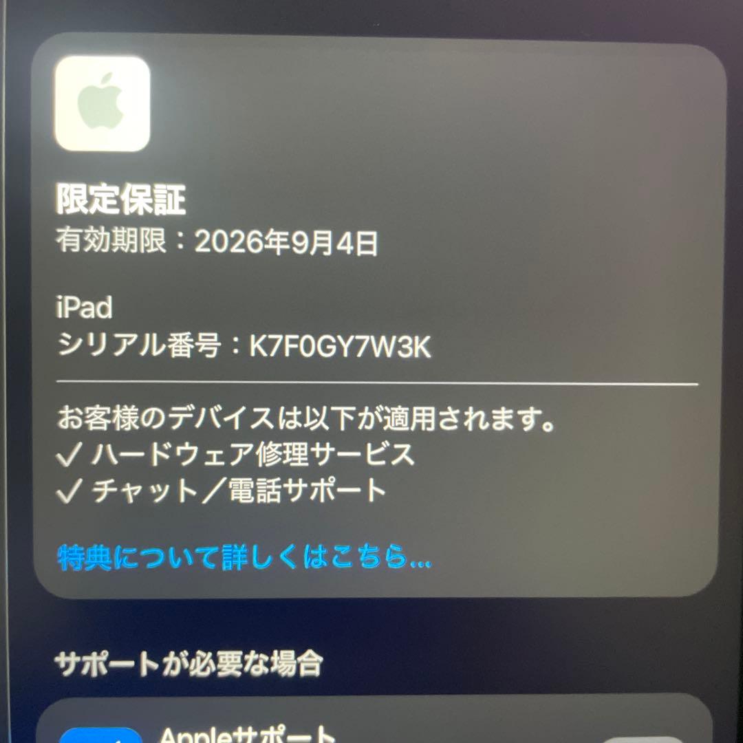 iPad A16 Wi-Fi 128GB ブルー　バッテリー100%