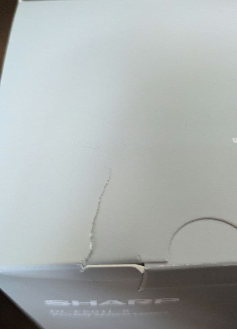 新品　シャープ SHARP DL-FS01L-S　 ポータブルスピーカーランタン