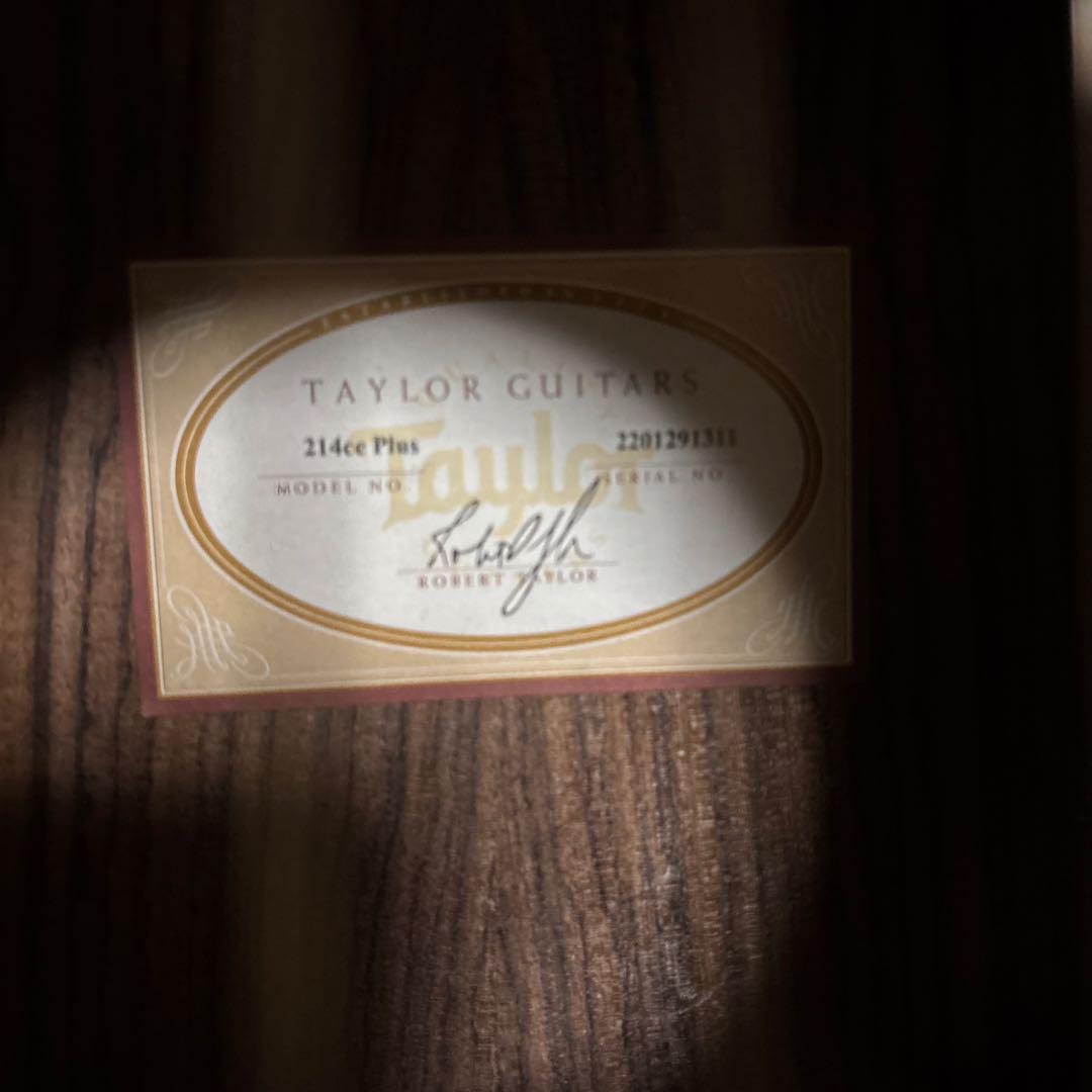 Tayler 214ce Plus エレアコ