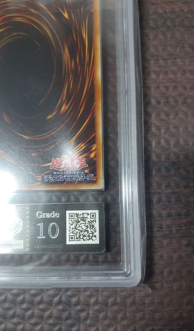 二頭を持つキング・レックス　ARS10【極美品】