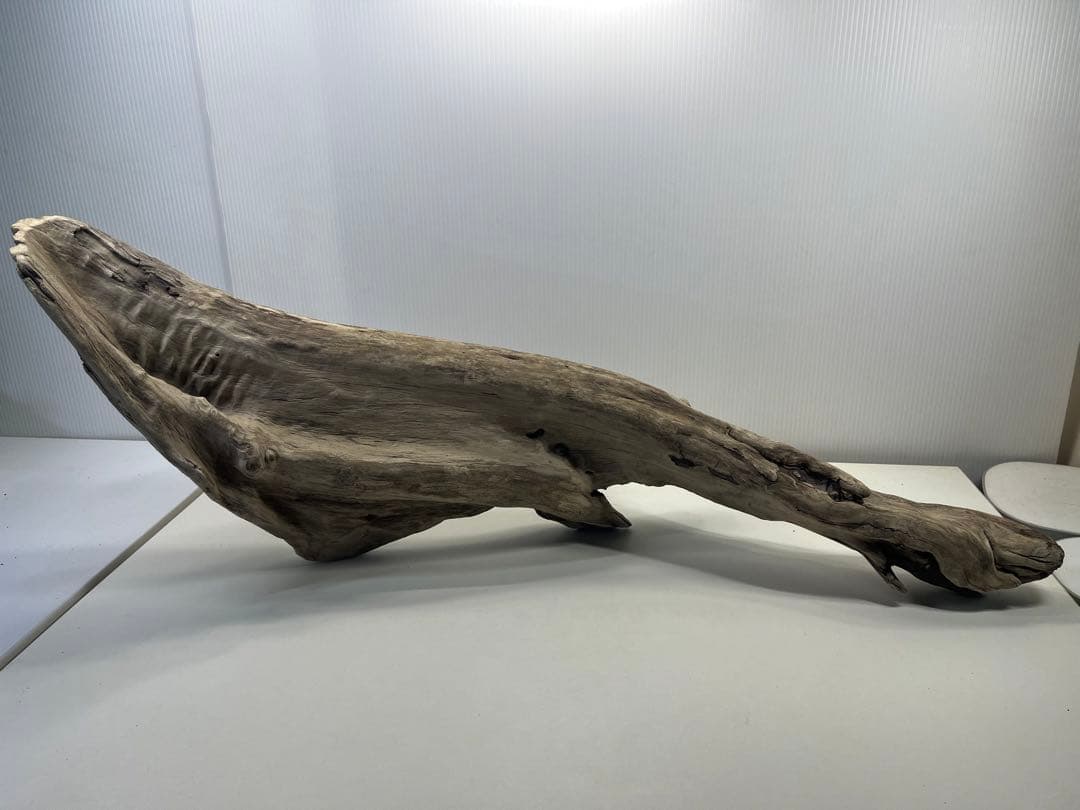 V84特大流木 アク抜き済み流木 爬虫類シェルター 登り木 インテリア 生け花