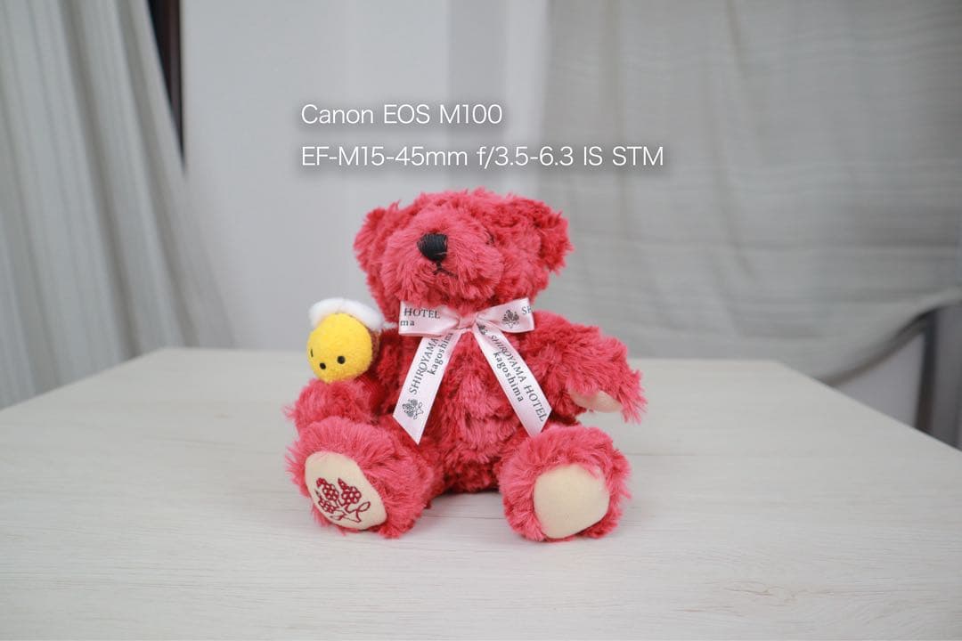 【初心者おすすめ】Canon EOS M100 ダブルレンズキット バッテリー付