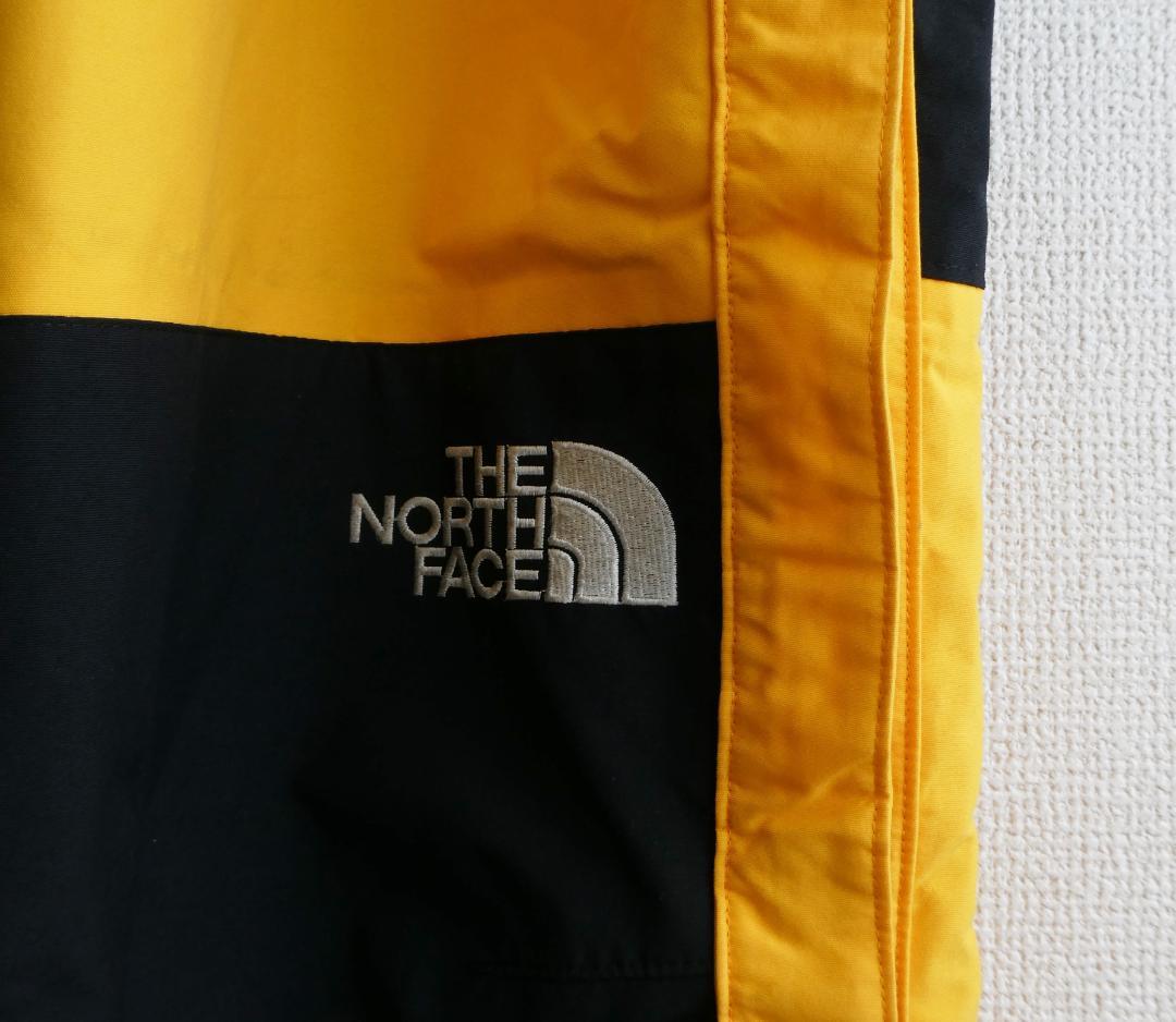 THE NORTH FACE 　GORE-TEX ビブパンツ スノーウェア