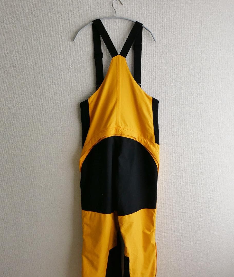 THE NORTH FACE 　GORE-TEX ビブパンツ スノーウェア