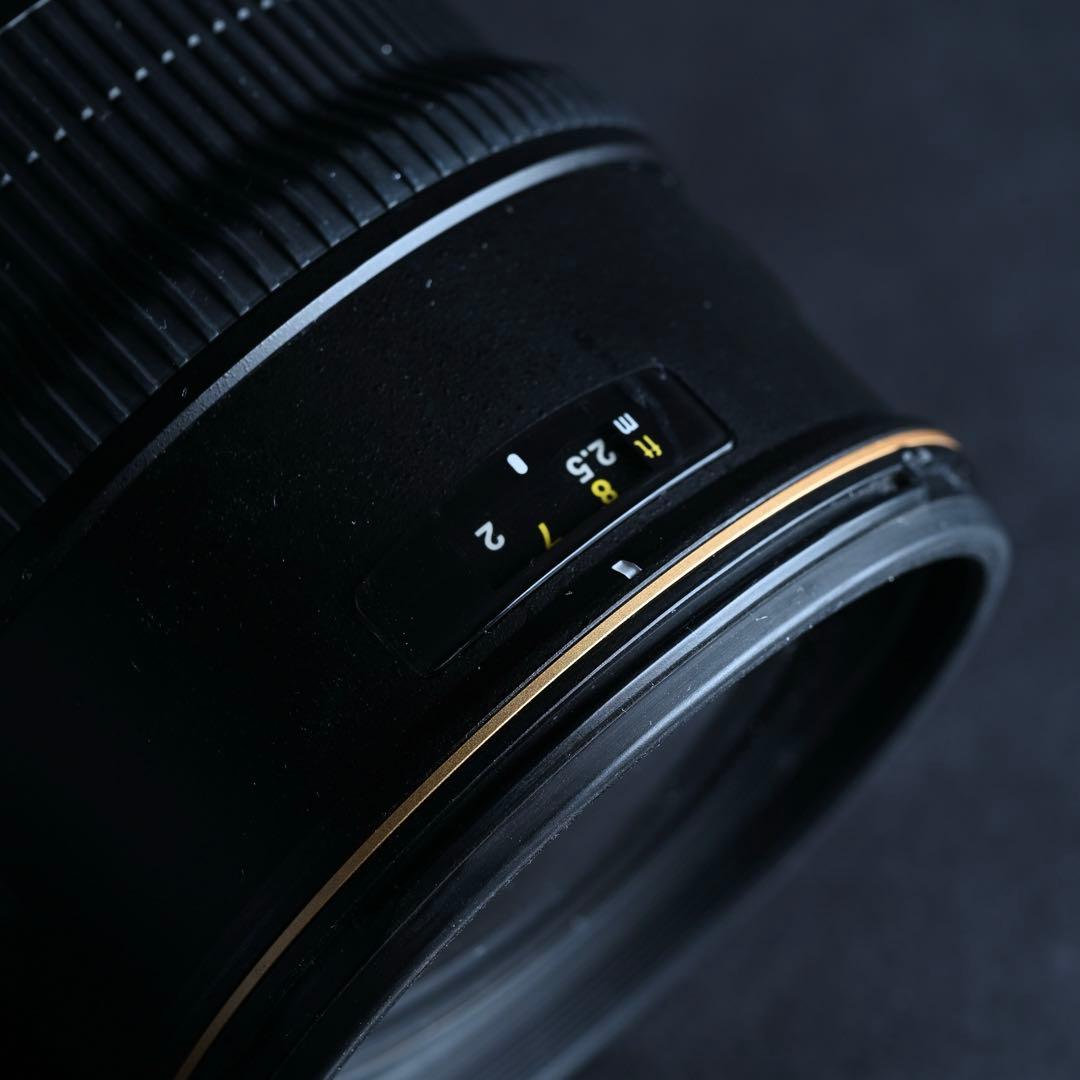 Nikon AF-S VR 70-200mmf2.8G フードNG,モーター更新