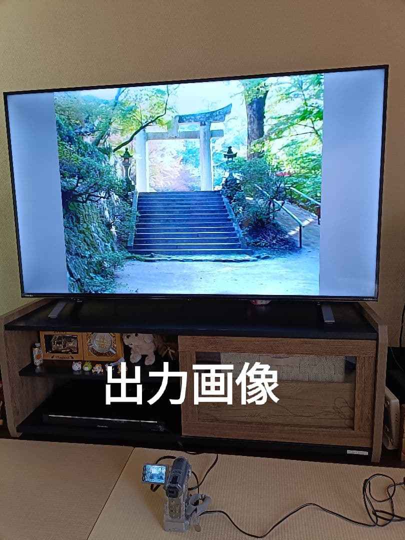 ★SONYハンディカム　DCR-PC350★ ミニDVカセット対応