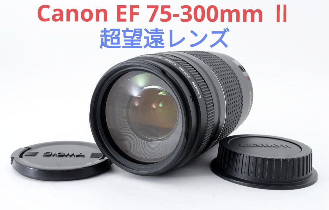 1月8日限定特価♪【超望遠レンズ】Canon EF 75-300mm Ⅱ