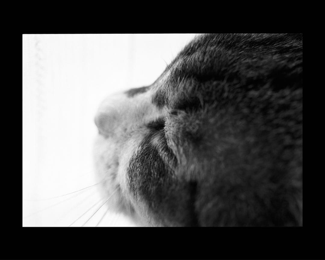 Nikon F2 レンズ等セット　美品