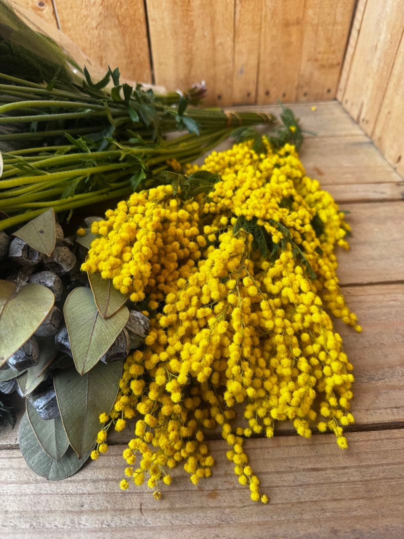 ✨11種お得セット【⭐️】ユーカリ　ラナン　チューリップ　ミランドール　切花　生花