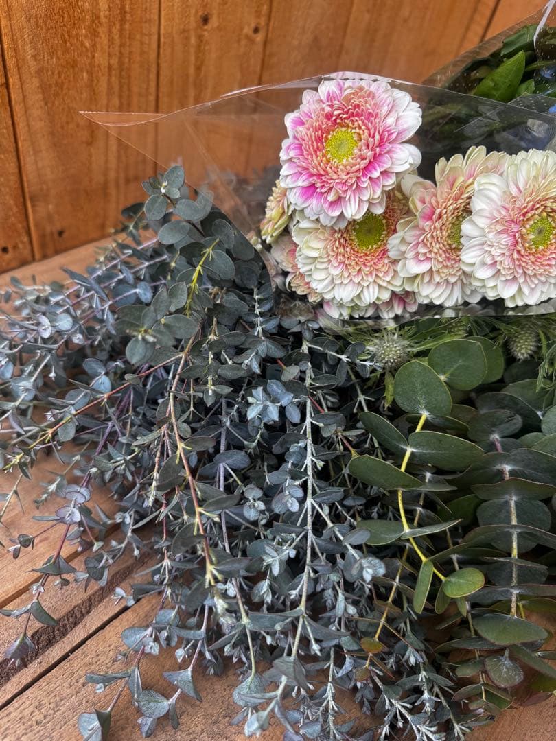 ✨11種お得セット【⭐️】ユーカリ　ラナン　チューリップ　ミランドール　切花　生花