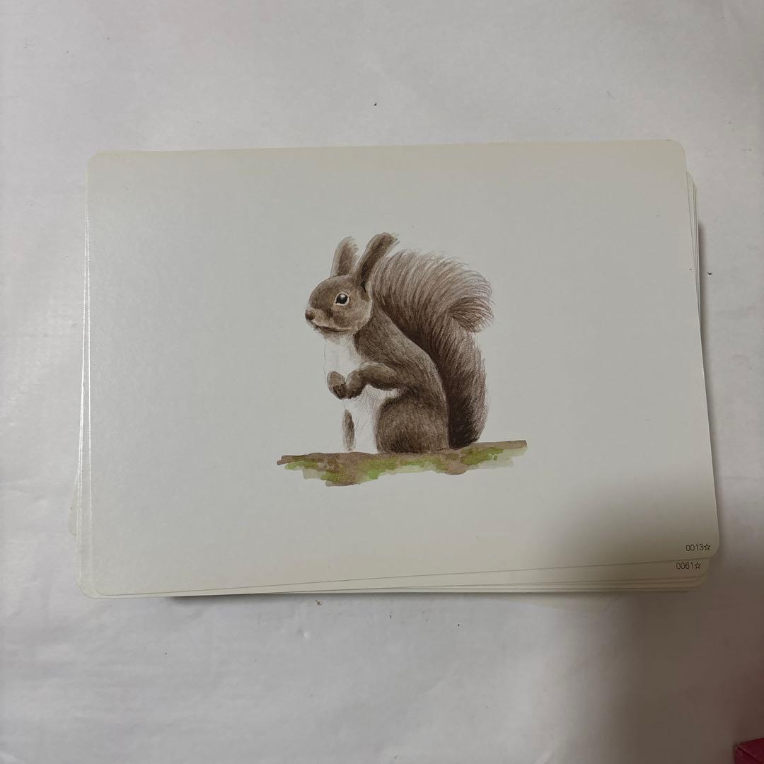 しちだ式　かな絵ちゃん Aセット + Bセット　フラッシュカード　DVD付き