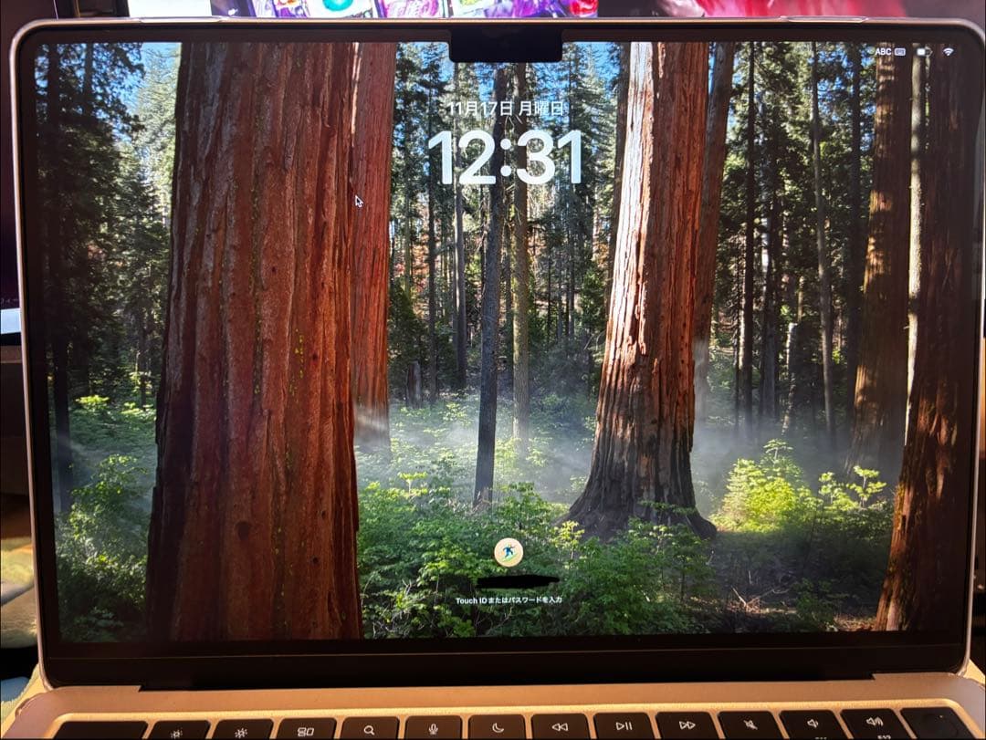 MacBook Air M4(2025年) 13インチ　512GB