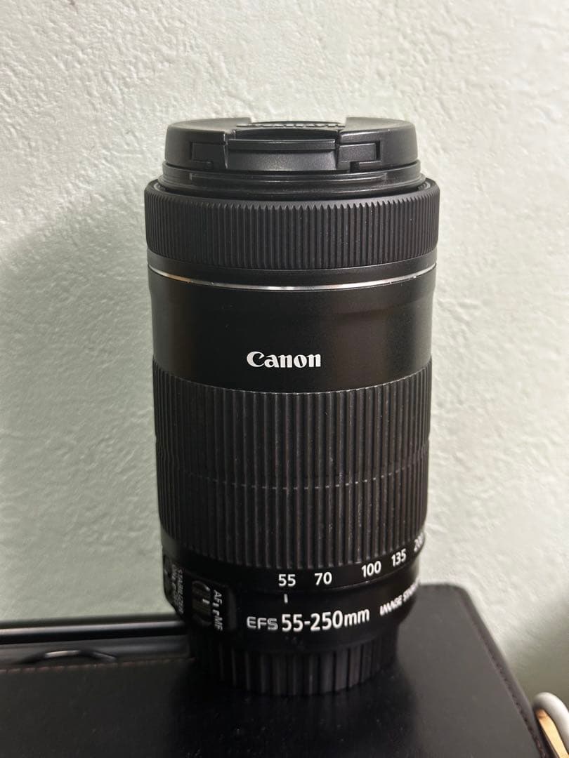 美品作例あり Canon EF-S 55-250mm F4-5.6 IS STM