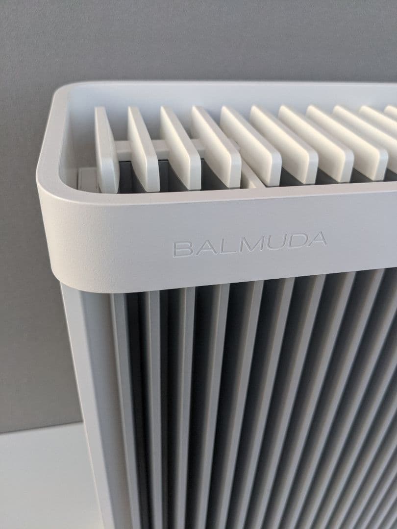 バルミューダデザイン ESH-1000UA-SW