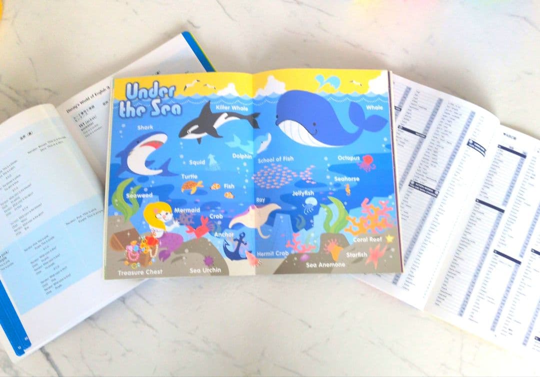 ディズニー英語システム プレイメイト トークアロングカード セット