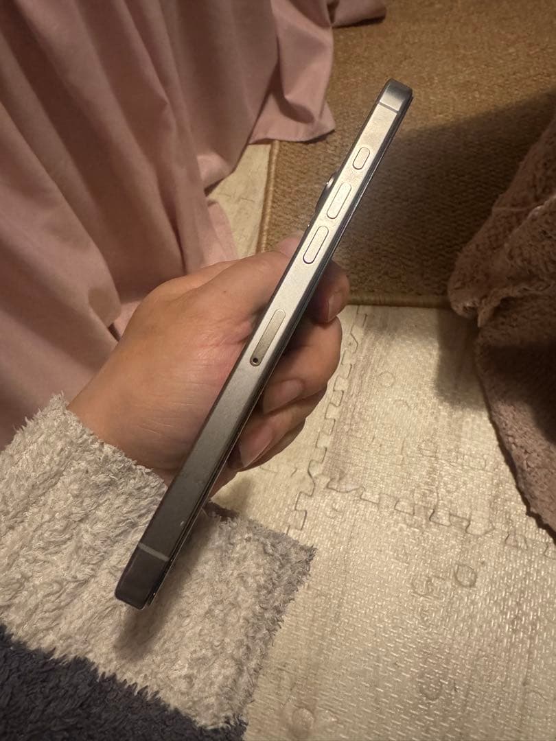 海外版iPhone 16 Pro Max 256GB,美品,バッテリーは98％