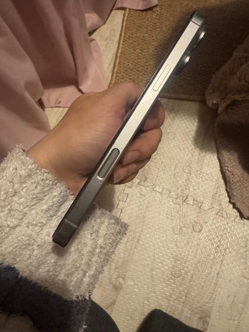 海外版iPhone 16 Pro Max 256GB,美品,バッテリーは98％