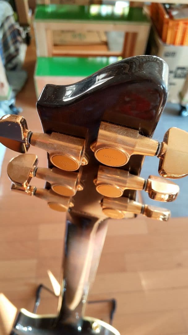 ARIA pe509ニアミント