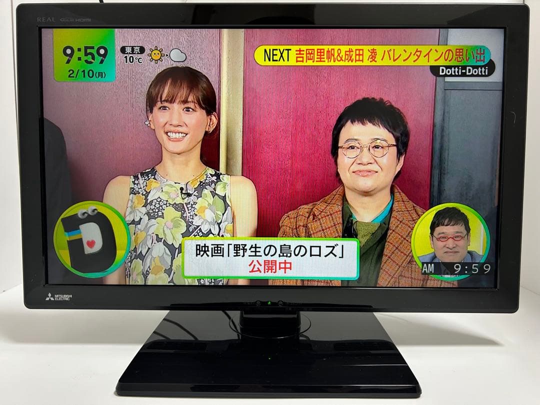 【2月17日まで】三菱24型液晶テレビ REAL LCD-24LB7