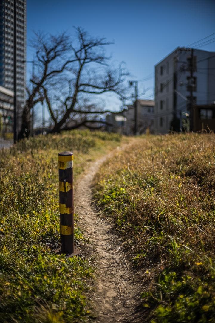 極美品！夜という名！Voigtlander NOKTON 50mm F1.1