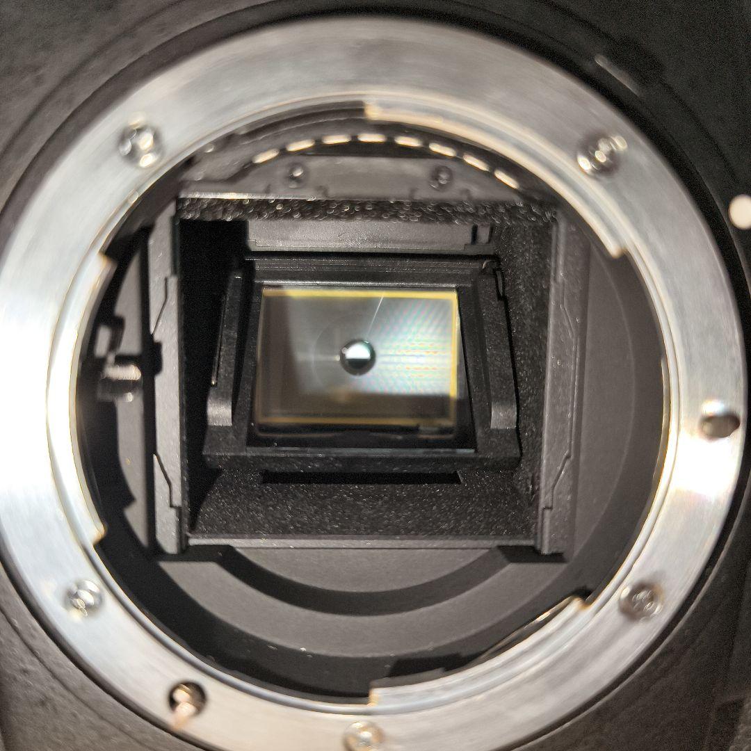 【現状品】Nikon D300 レンズセット