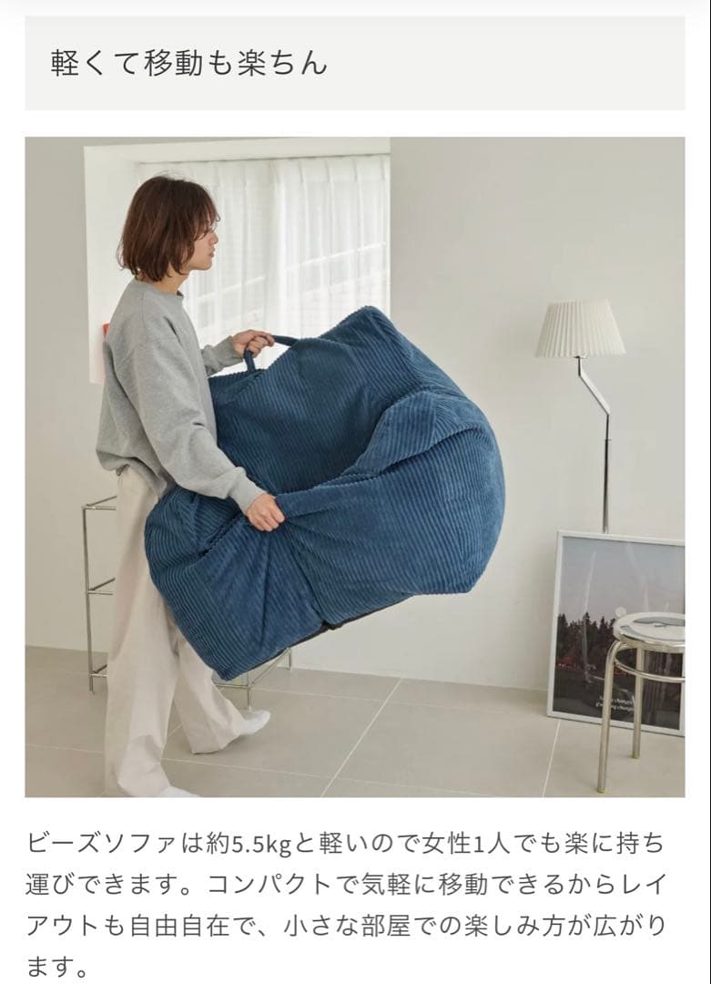 LOOSY 1人掛けビーズソファ Navy