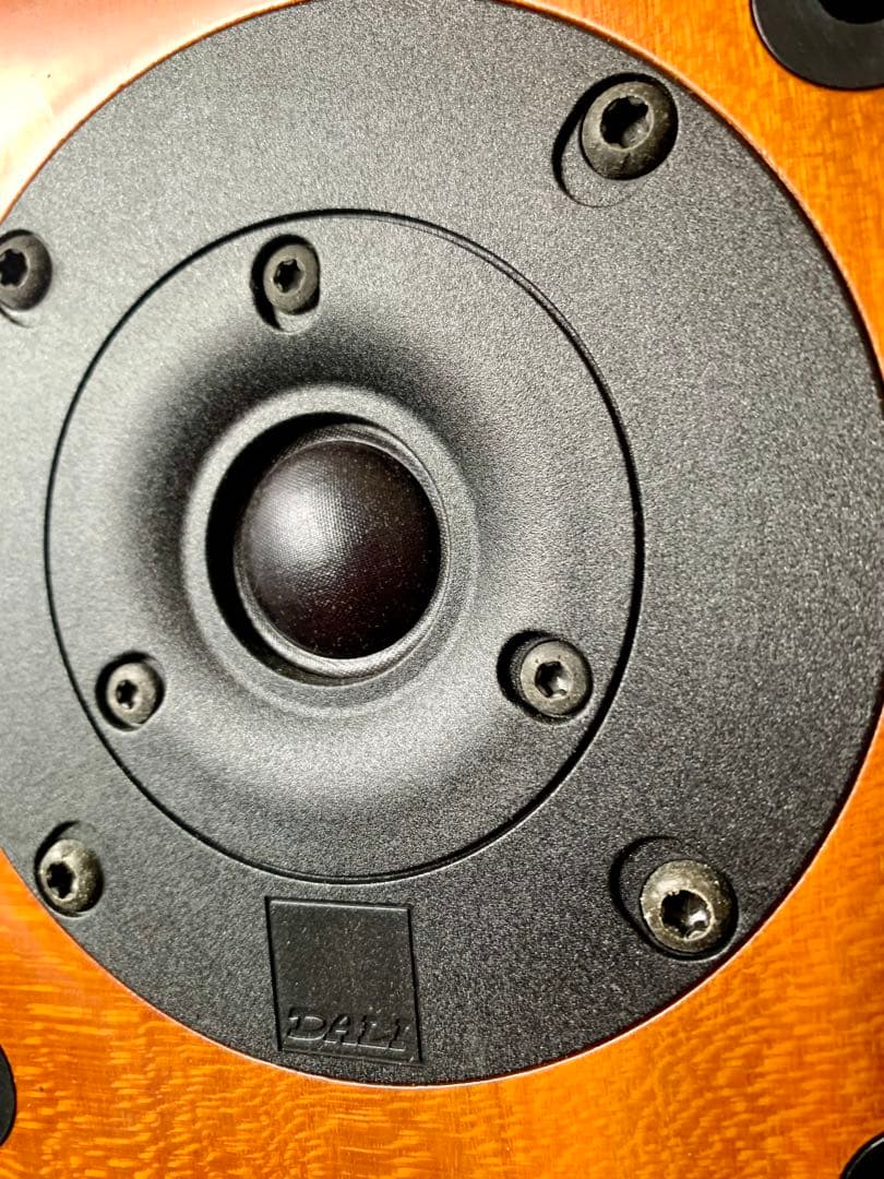 片方雑音発生　Dali  メヌエットII スピーカー