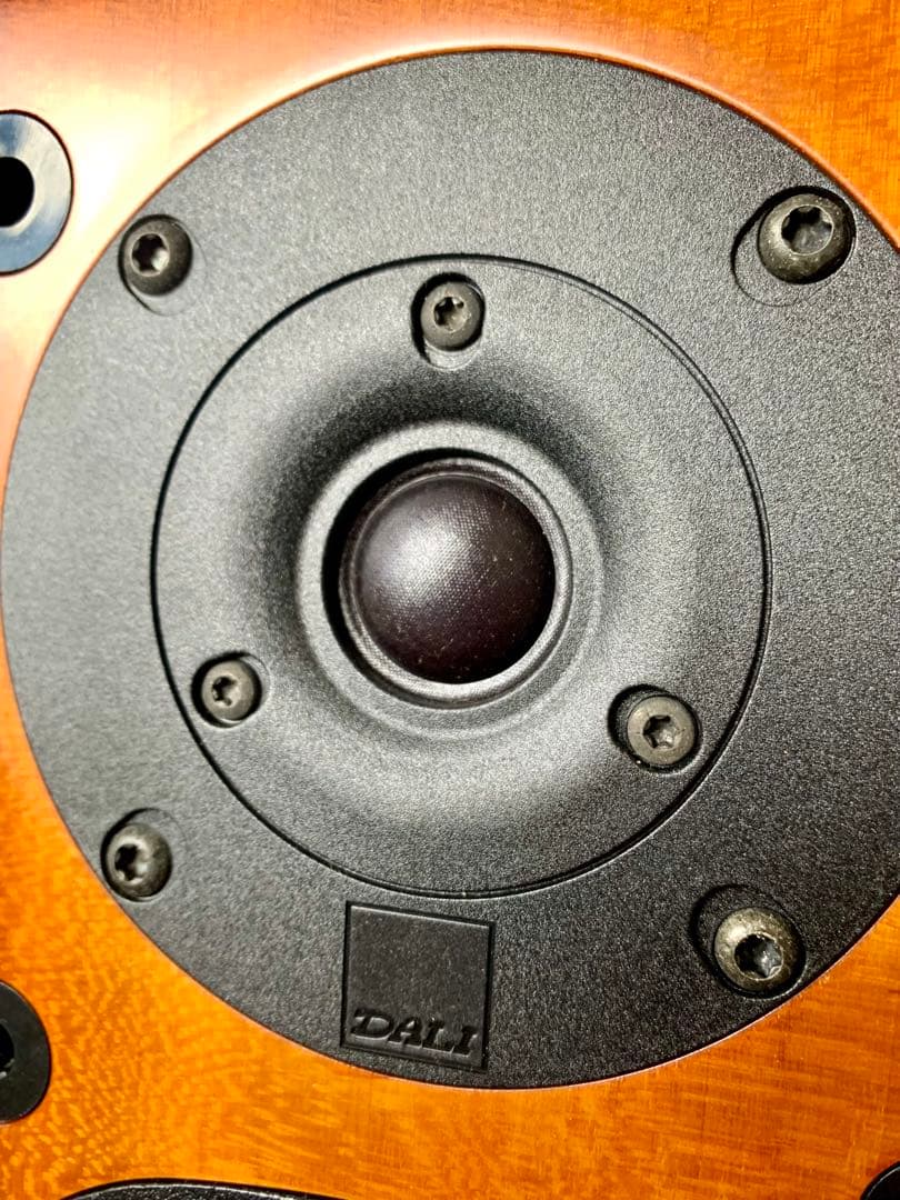 片方雑音発生　Dali  メヌエットII スピーカー