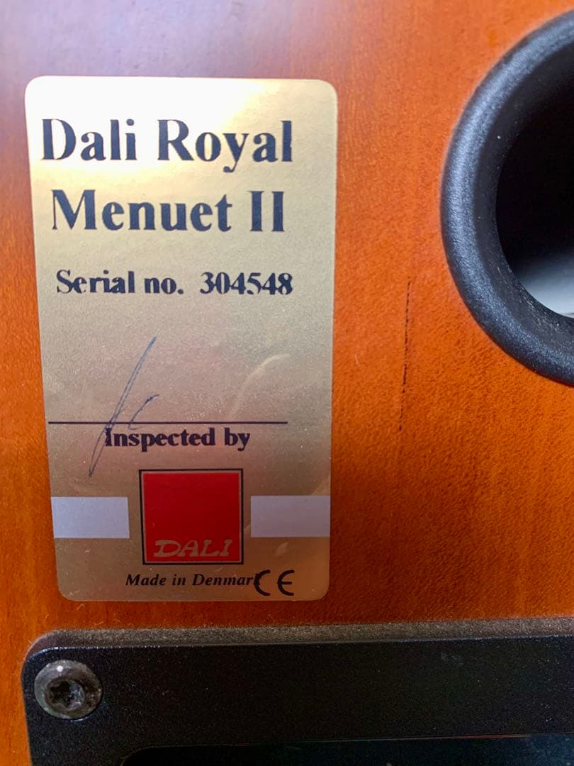 片方雑音発生　Dali  メヌエットII スピーカー