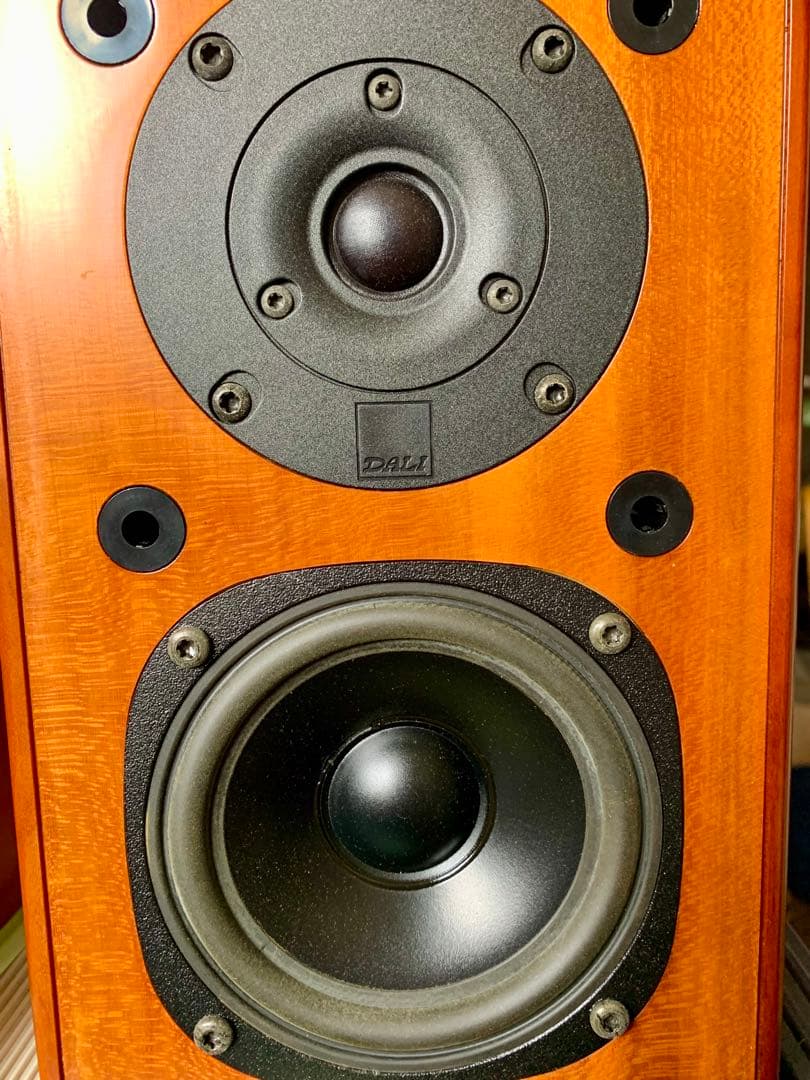 片方雑音発生　Dali  メヌエットII スピーカー