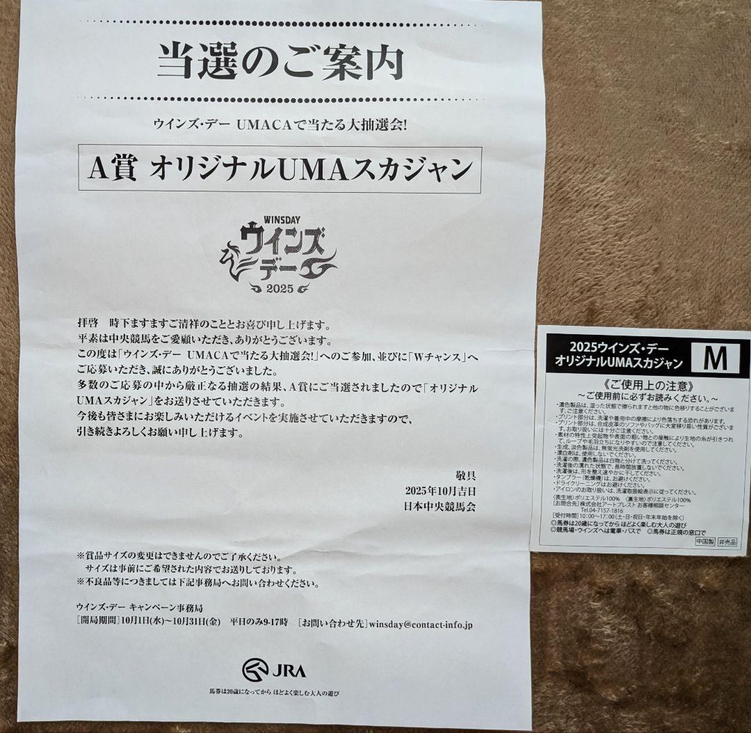 WINS 馬刺繍 スカジャン