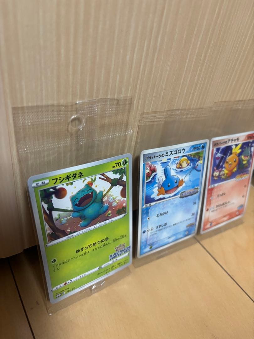 ポケパーク　プロモ　未開封　アチャモ　ミズゴロウフシギダネ