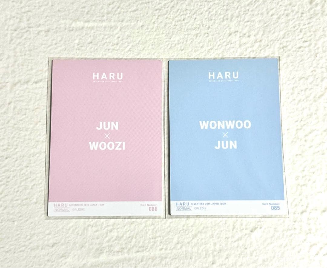 【SEVENTEEN】ジュン ウォヌ ウジ HARU ペアトレカ セブチ