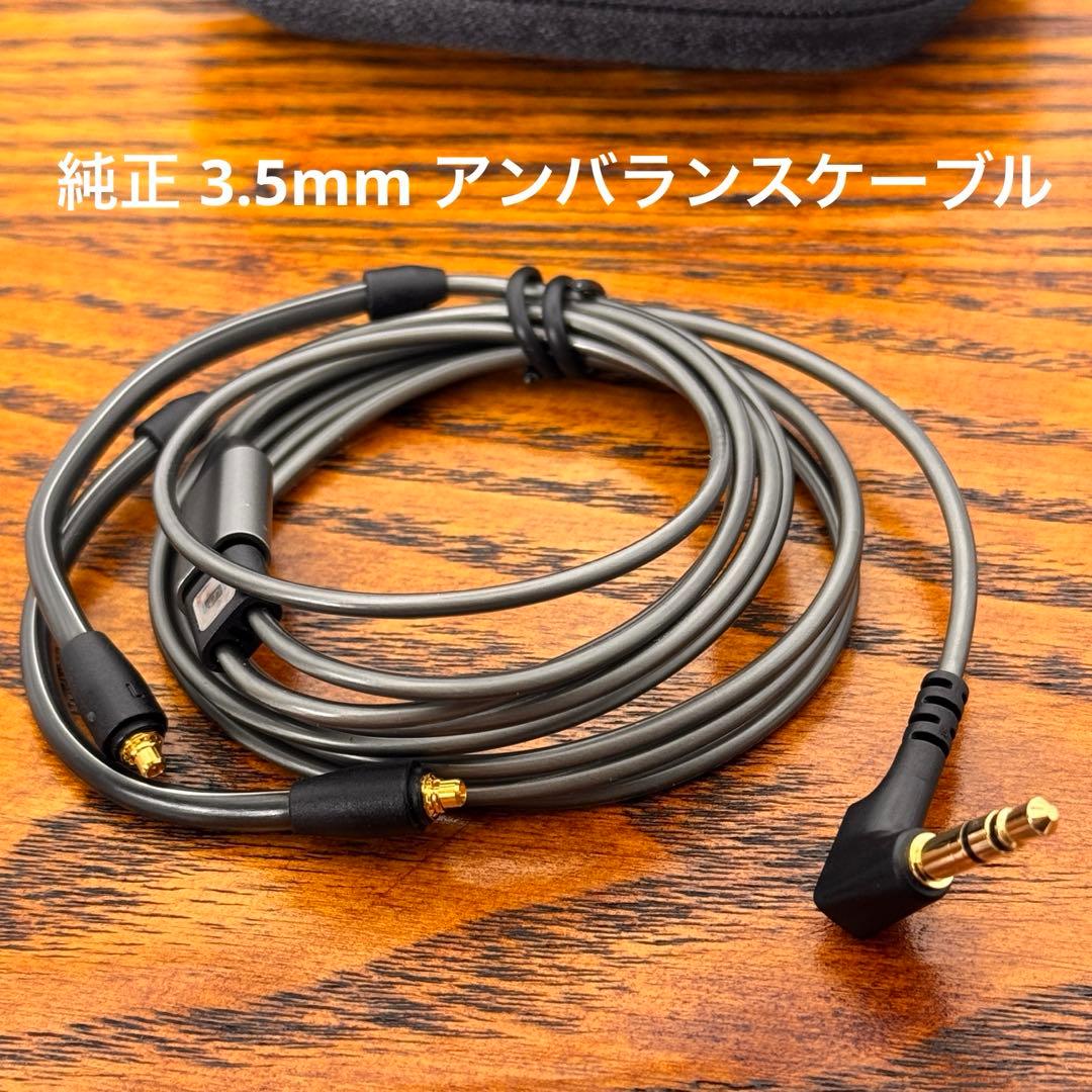 Sennheiser IE900 本体／専用ケース付き／高音質IEM