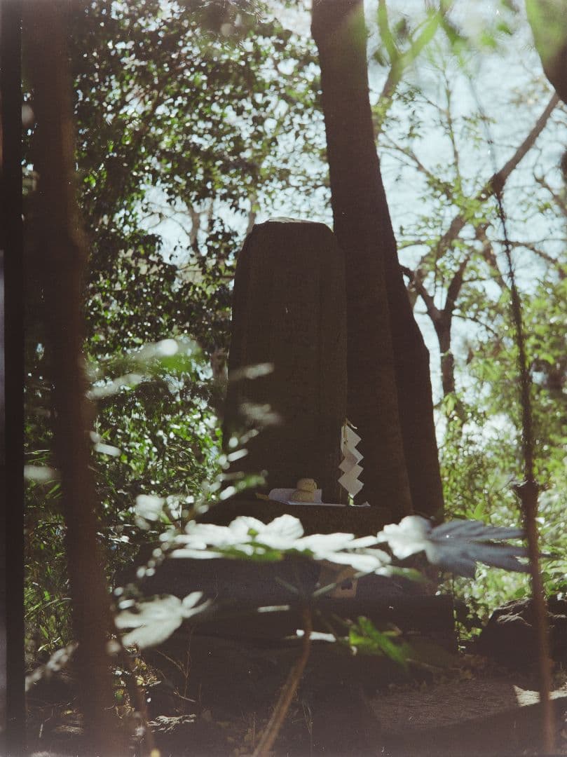 小西六 Konishiroku Pearl IV Hexer 75mm F3.5