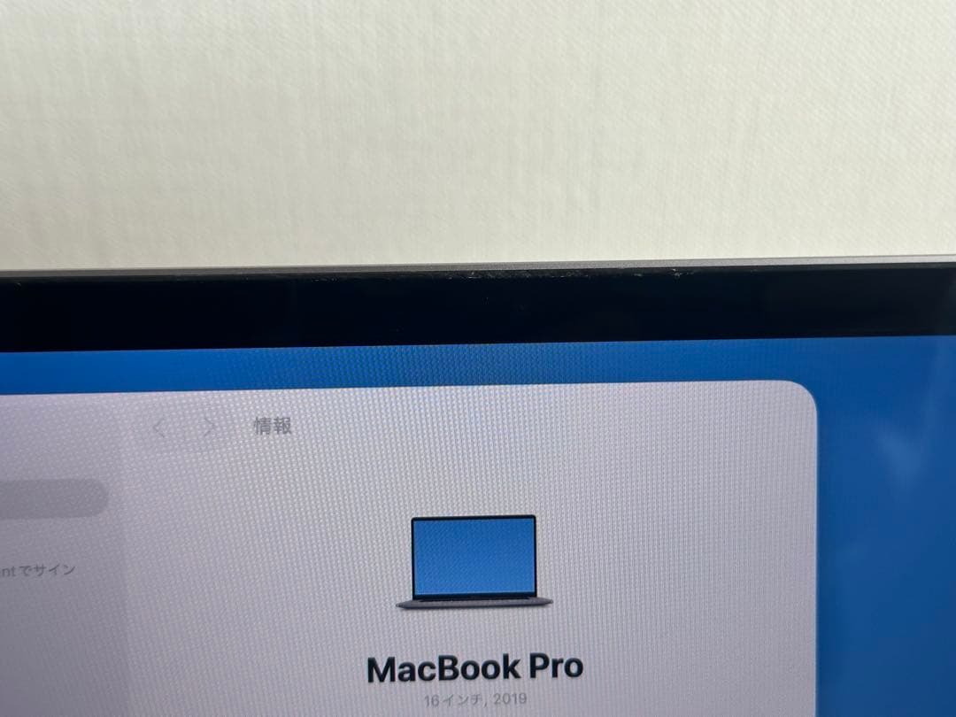 動作品！MacBook Pro (16-inch, 2019) i9•1TB