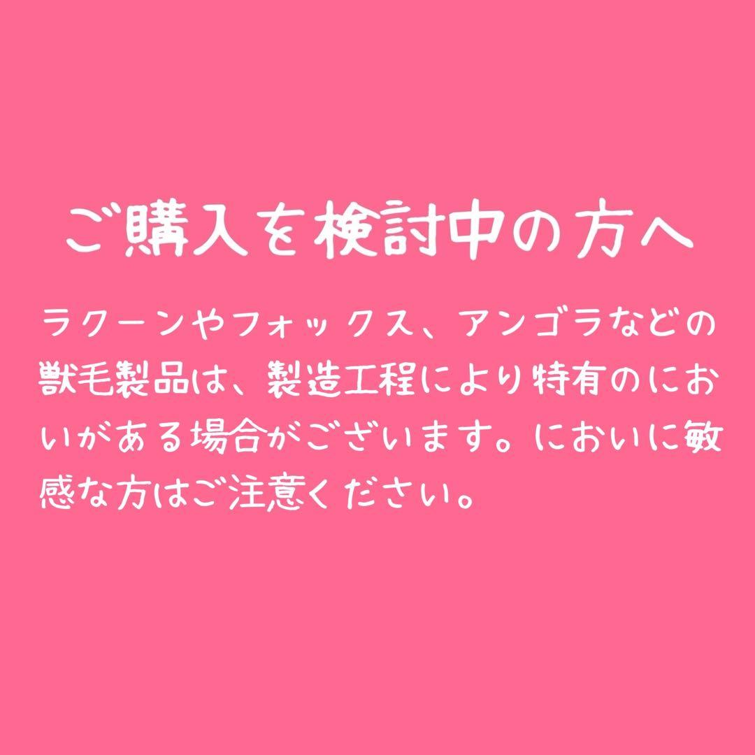 定価2.3万 ウィムガゼット× Marisol アンゴラファーニットプルオーバー