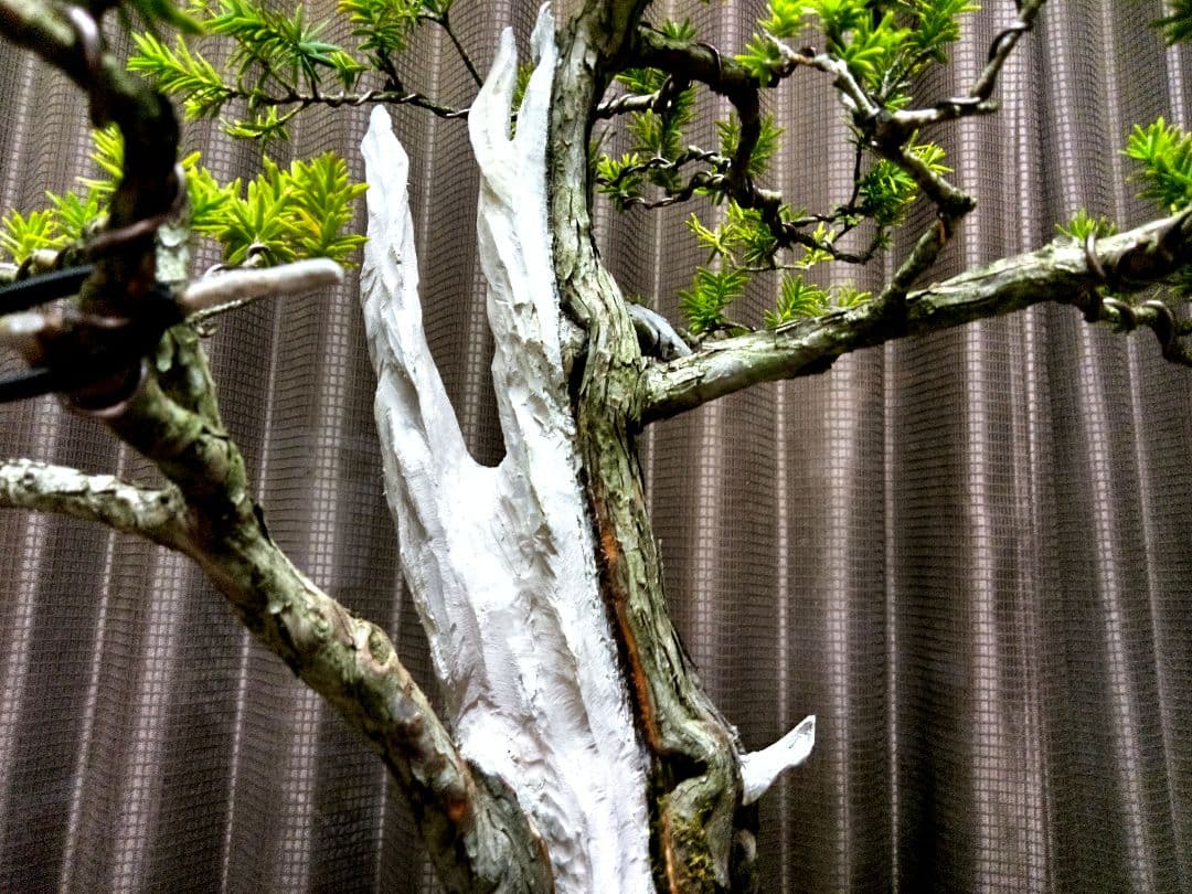 【樹高 53㎝ 一位盆栽】　　　　　⭕ゴエモン様、専用❗