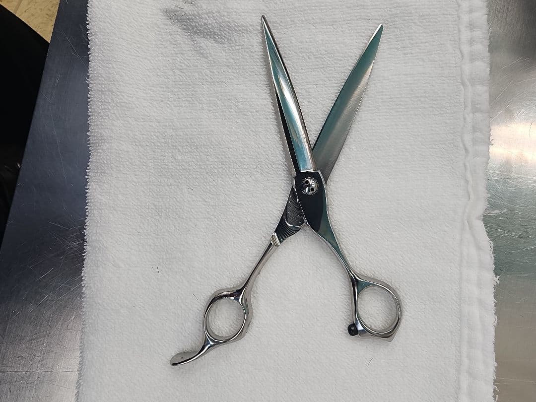 トギノン　マリン