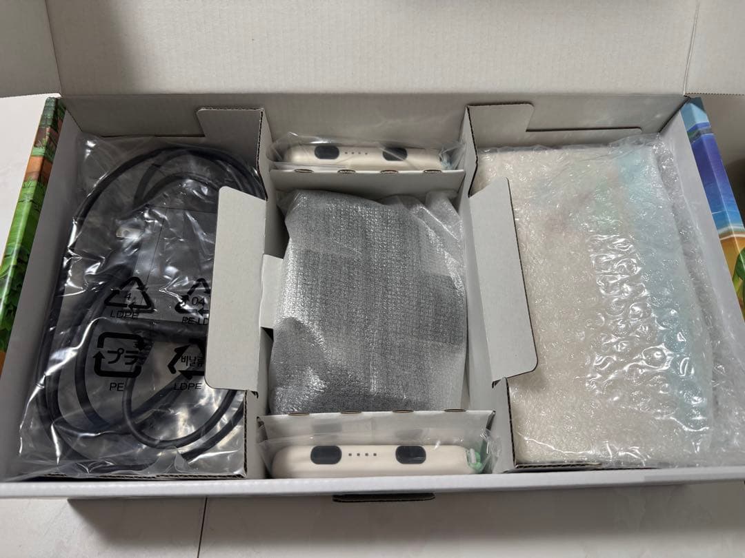 Nintendo Switch あつまれどうぶつの森セット　中古　本体　あつ森