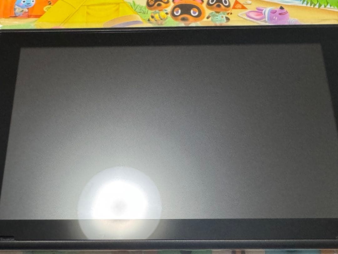 Nintendo Switch あつまれどうぶつの森セット　中古　本体　あつ森