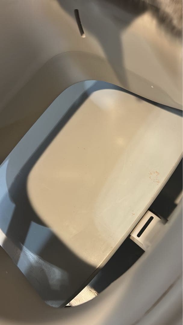 24時間以内発送★サイベックス レモチェア