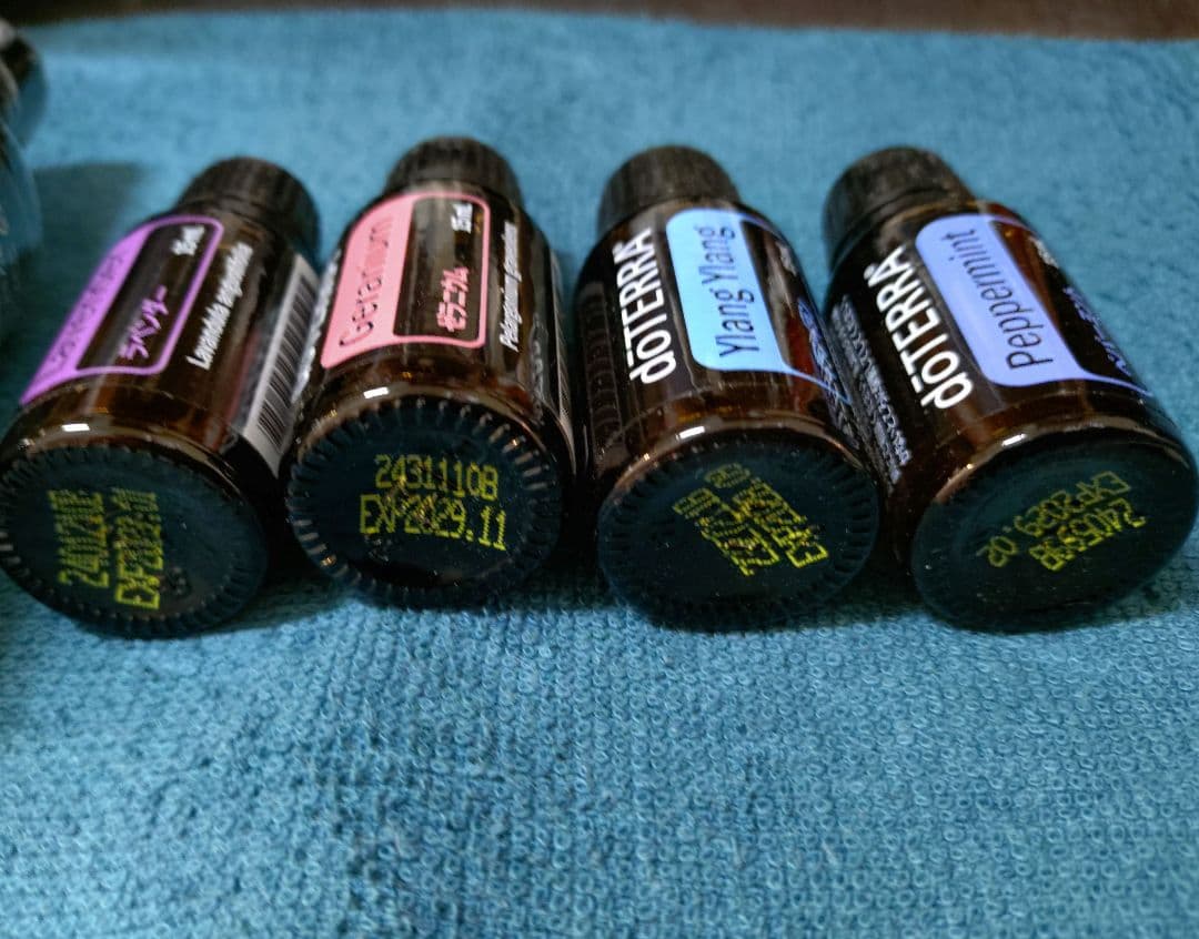 ドテラ ゼラニウム