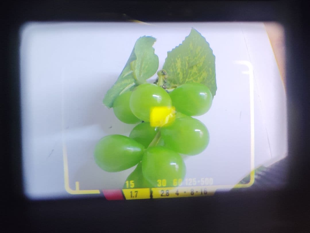 OLYMPUS　35DC（動作美品）