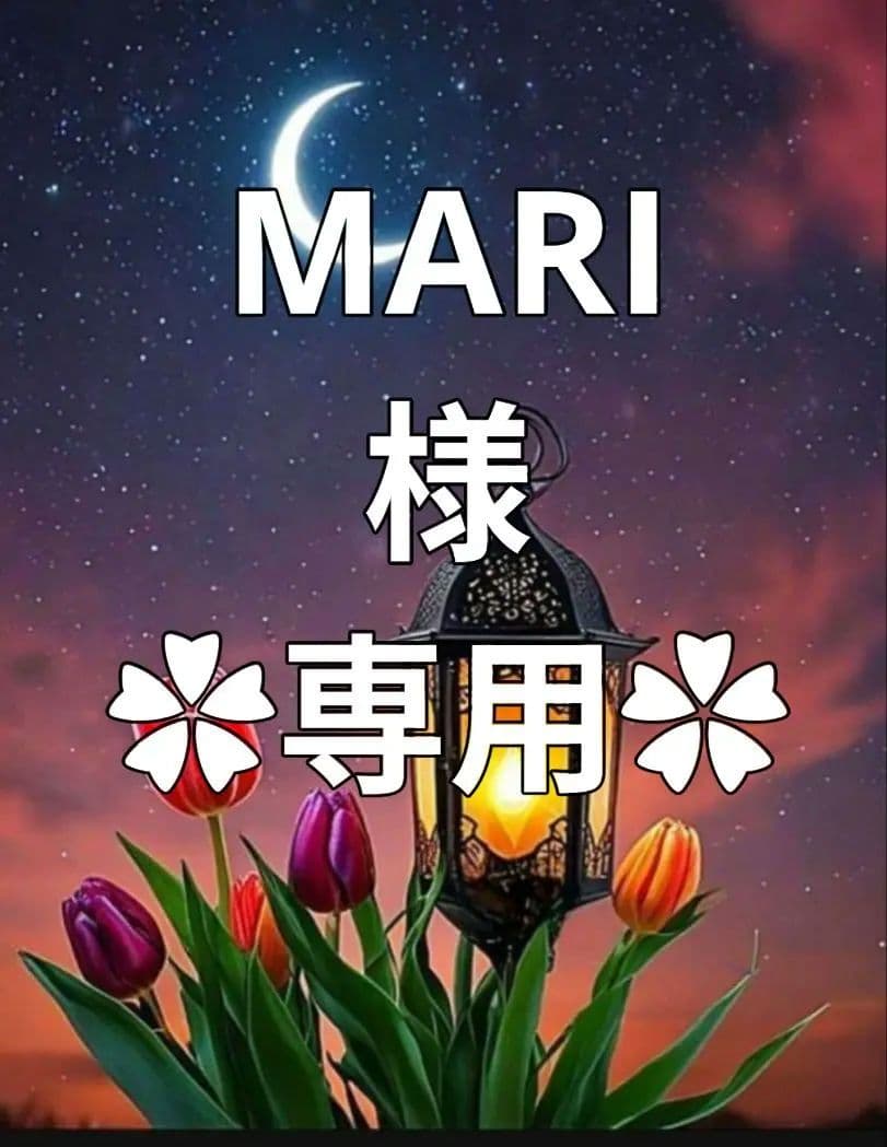 ✿MARI様·専用✿ハンドメイド　ピルケース